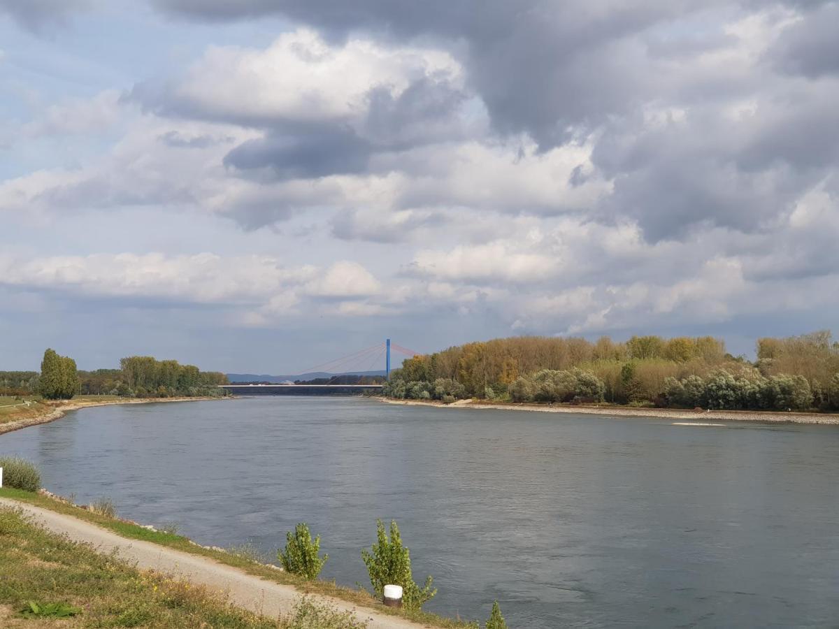 Wohnen Direkt Am Rhein, Zentrums- Und Domnah, 55Qm Διαμέρισμα Σπάιερ Εξωτερικό φωτογραφία